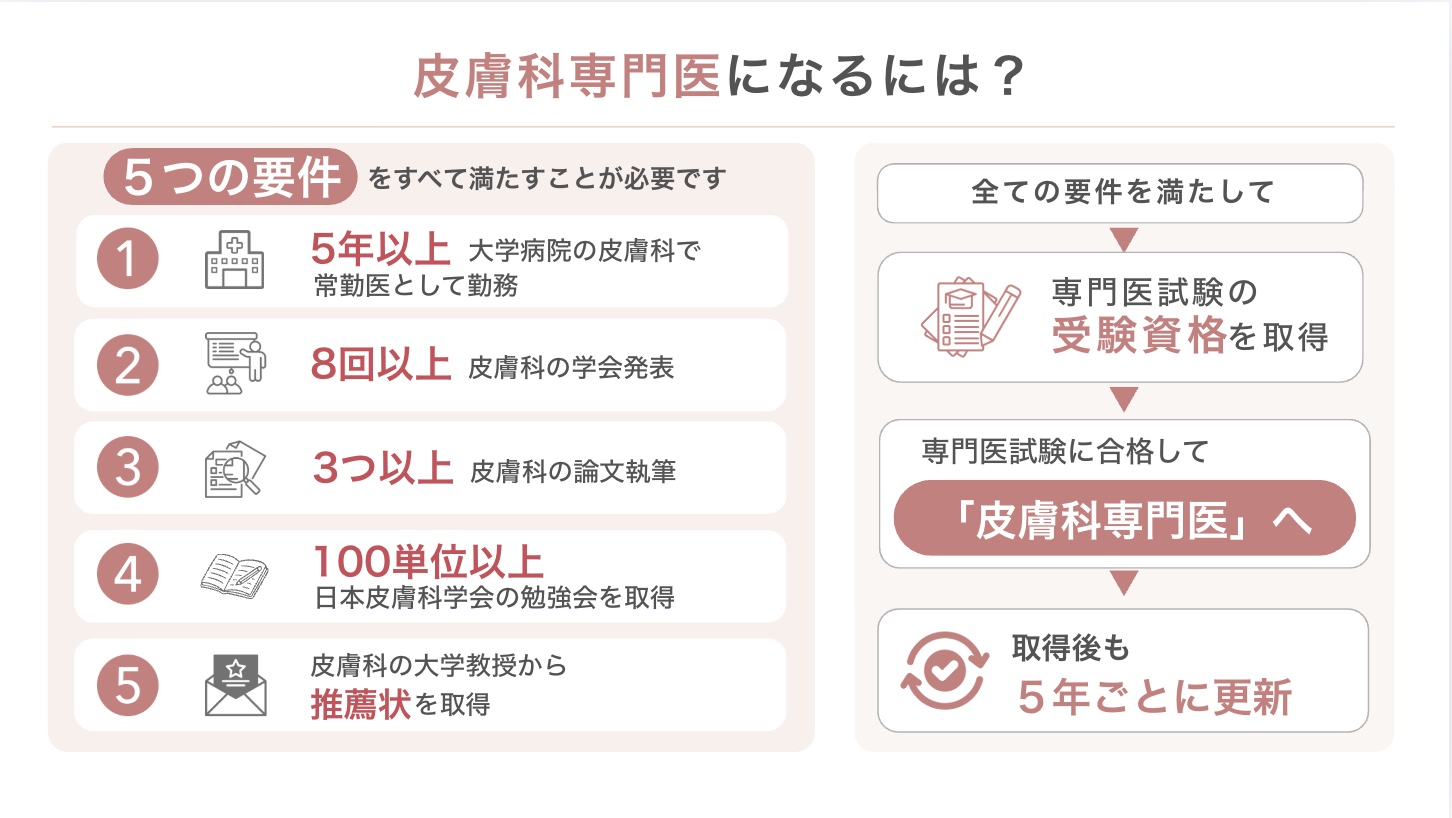 皮膚科専門医になるための5つの要件と資格取得・更新の流れ