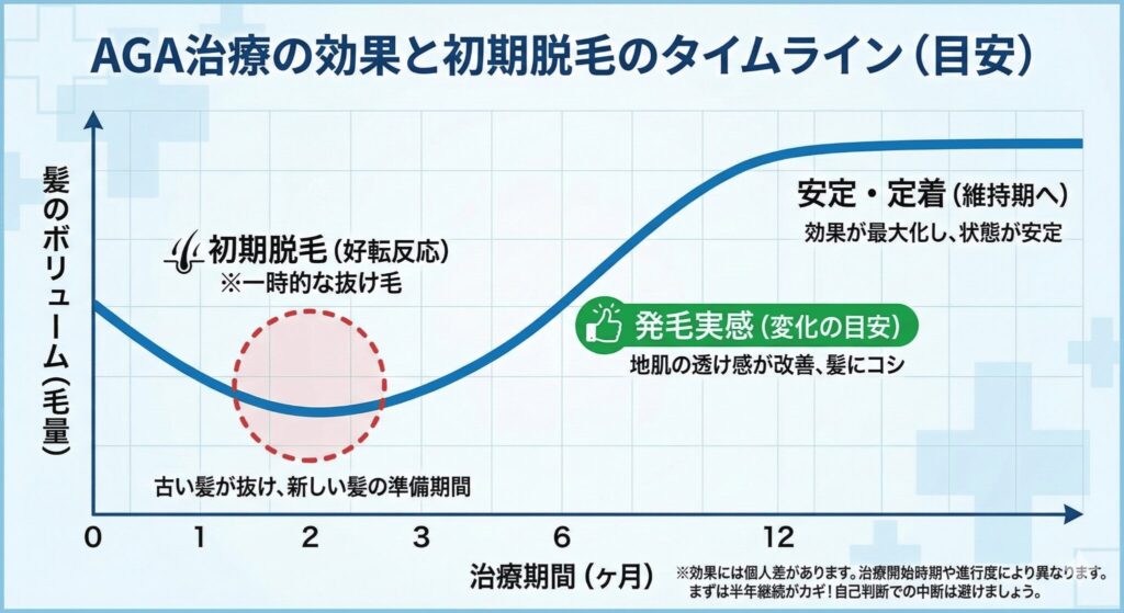 AGA治療の効果発現タイムライングラフ：初期脱毛の期間と発毛実感までの毛量推移目安（3ヶ月〜1年）