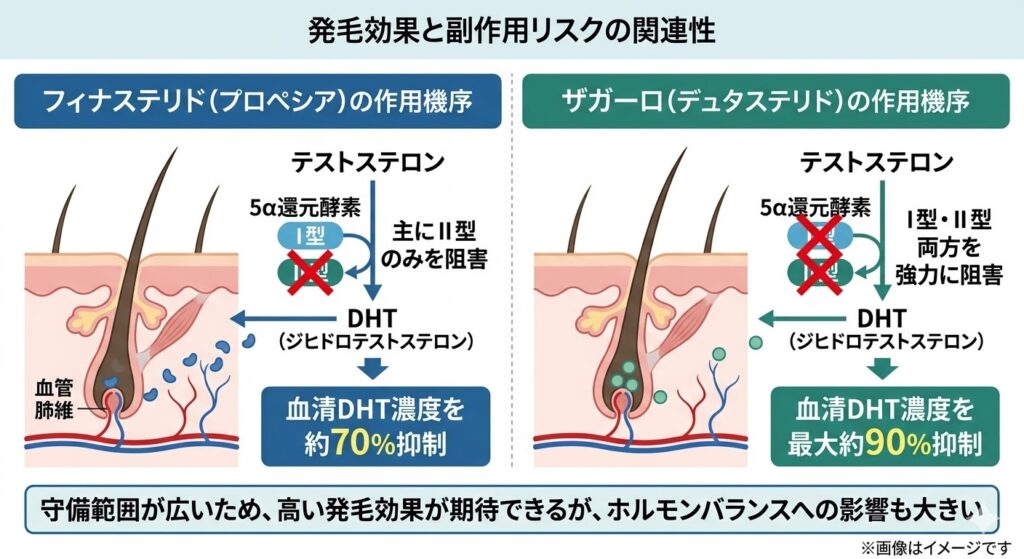 フィナステリドとザガーロ(デュタステリド)の作用機序の違いを比較した解説図。フィナステリドは5α還元酵素の主にⅡ型のみを阻害し、血清DHT濃度を約70%抑制する。一方、ザガーロはⅠ型・Ⅱ型の両方を強力に阻害し、血清DHT濃度を最大約90%抑制する。下部には「守備範囲が広いため、高い発毛効果が期待できるが、ホルモンバランスへの影響も大きい」と説明されている。
